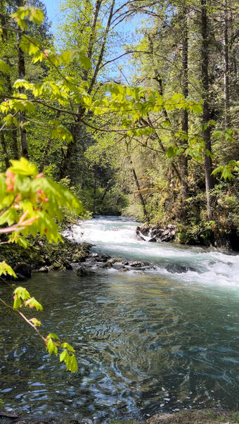 aelarose Naakte Lekken OnlyFans Foto 66