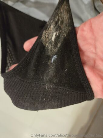 alicethroughwonderland