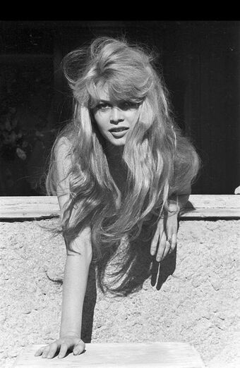 Brigitte Bardot