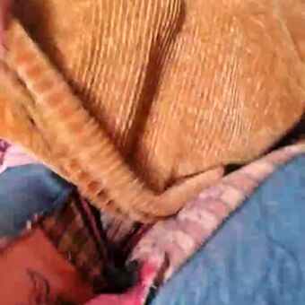 Cami Sweet Naakte Lekken OnlyFans Foto 40