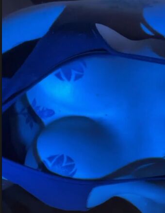 Cielo VIP Naakte Lekken OnlyFans Foto 7