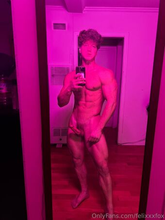 felixxxfox