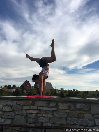 flexiblefun