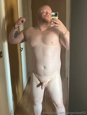 gingerbeef01