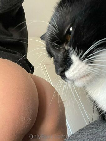 hollymoonvvip Naakte Lekken OnlyFans Foto 3