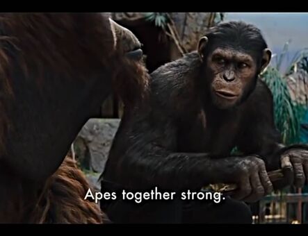 lilijunex Naakte Lekken OnlyFans Foto 125