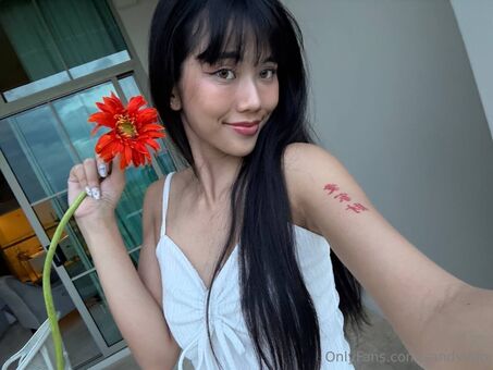 sandydao