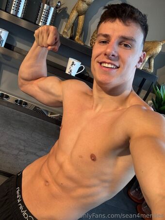 sean4mendes