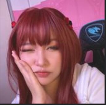 Yuusachii